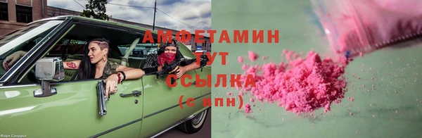 индика Дрезна