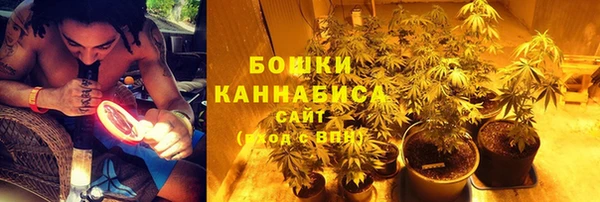 тгк Струнино